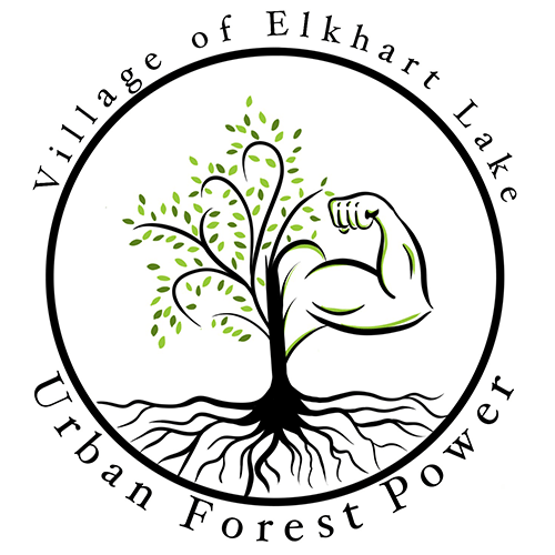 URban Forest Power Village of Elkhart Lake Wisconsin